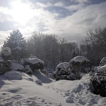 Отель Dworek Nad Rega Trzebiatow nad Rega