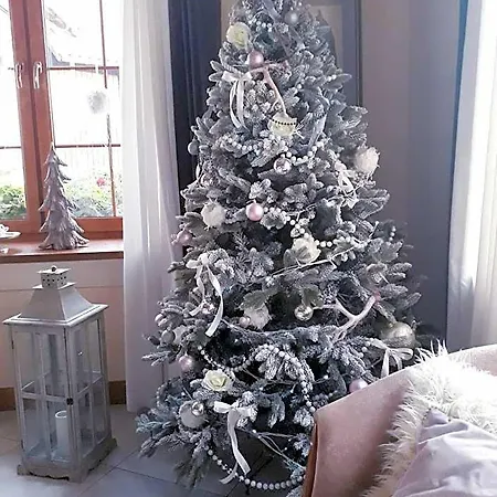 Otel Dworek Nad Rega 3*