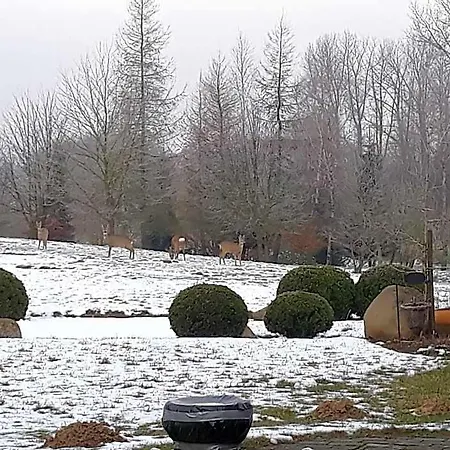 Dworek Nad Rega 3* Trzebiatow nad Rega