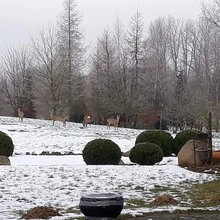 Dworek Nad Rega Отель Trzebiatow nad Rega