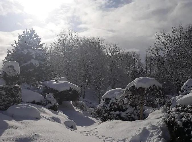 Hotel Dworek Nad Rega Trzebiatow nad Rega